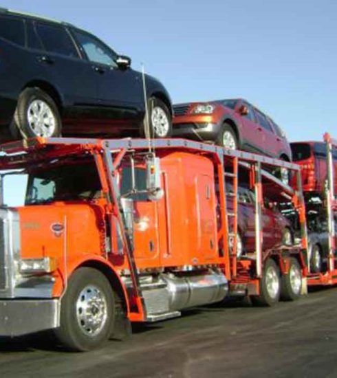 ways to pick the best car carriers in india