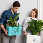3-plant-moving-tips-to-make-the-trip-comfortable-for-plants