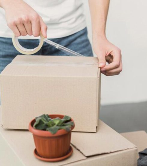 important-tips-that-you-must-follow-to-ease-the-task-of-packaging-while-moving-from-noida