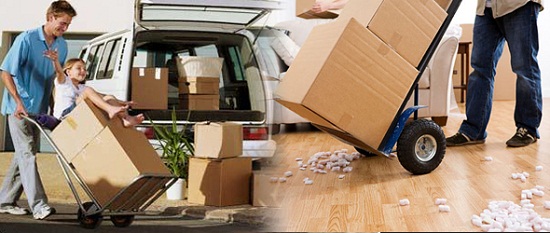 Packers Movers COMPANY’S PROFILE