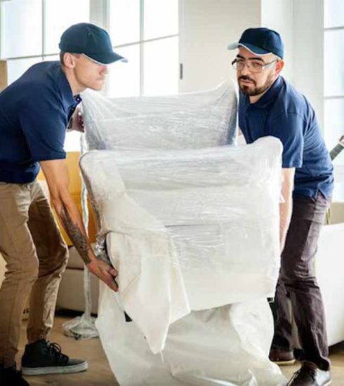 its-important-what-to-know-about-settling-down-with-reliable-packers-and-movers