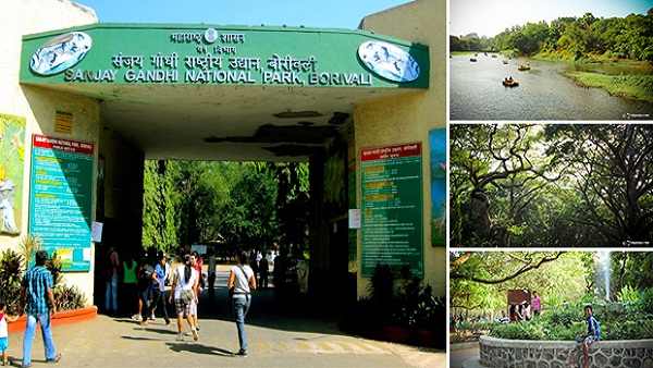 Sanjay Gandhi National Park Mumbai