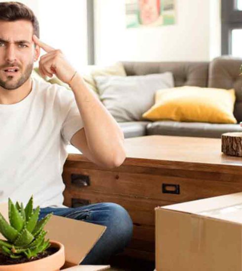 top-8-frequently-asked-questions-that-will-help-during-relocation
