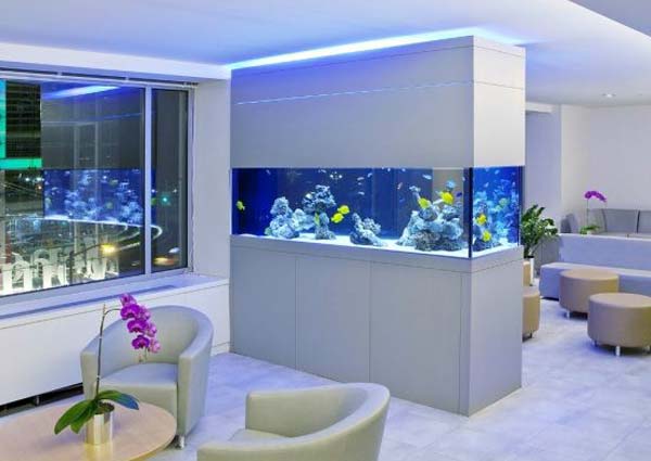 Aquarium