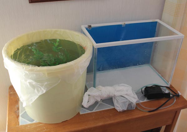 How to pack an aquarium