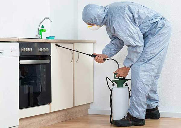 Hire pest control companies