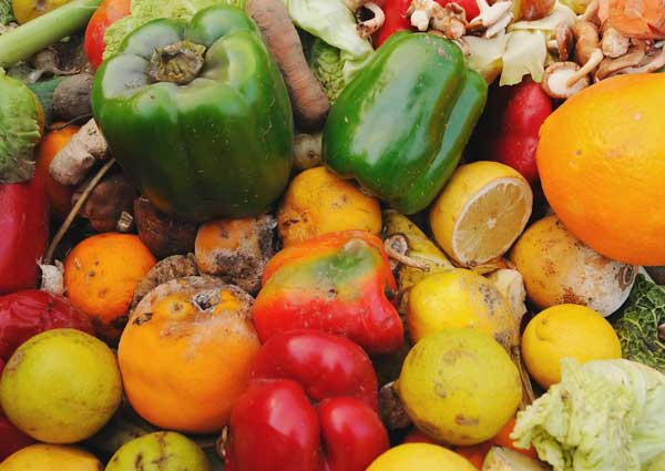 Throw away rotten fruits and vegetables
