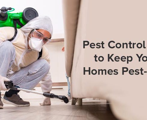 Pest Control Tips