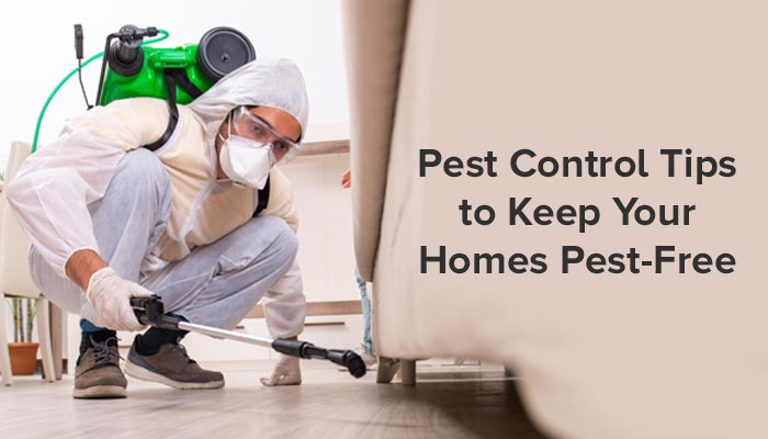 Pest Control Tips