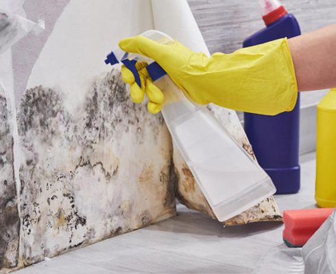 Prevent Dampness on Walls During Monsoons