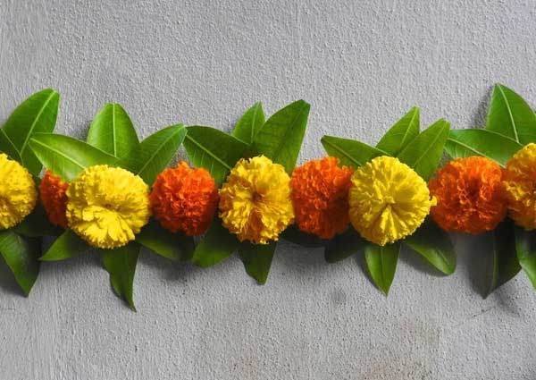 Marigold flowers and mango leaves