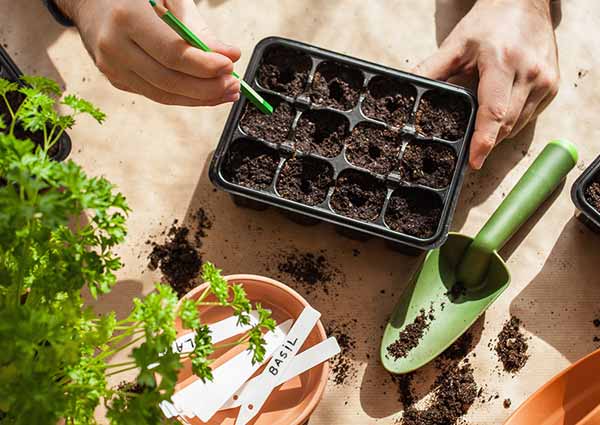 Labelling the seeds