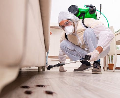 Reliable Pest Control Companies in India