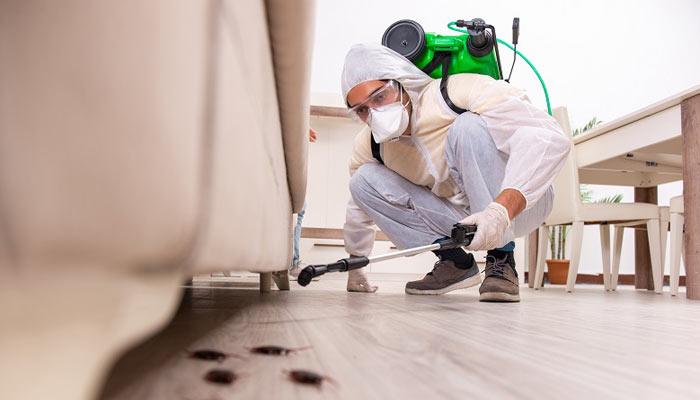 Reliable Pest Control Companies in India