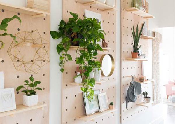 Creative Shelves On the Walls