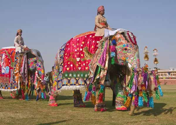 Jaipur: Elephant Festival