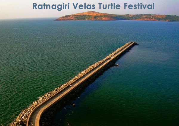 Ratnagiri: Velas Turtle Festival