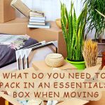 What Do You Need to Pack in an Essentials Box When Moving
