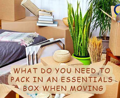 What Do You Need to Pack in an Essentials Box When Moving