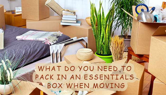 How To Prepare An Essentials Box For Moving