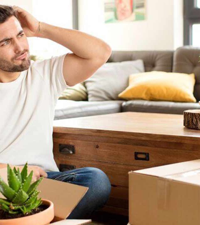 Top 10 Ways to Get Rid of Moving Boxes after Relocation The Packers
