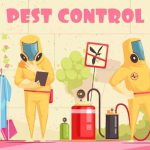 DIY pest control Vs professional pest control