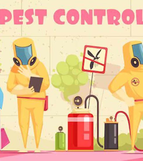 DIY pest control Vs professional pest control