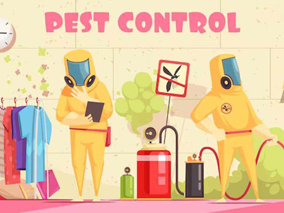 DIY pest control Vs professional pest control which is better?
