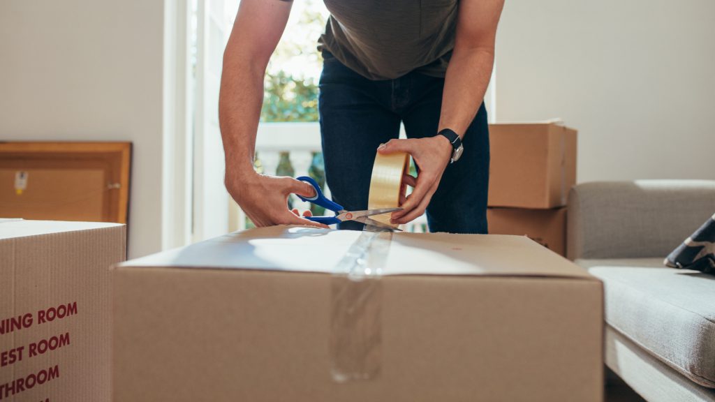 Kinds of Household Shifting Explained.