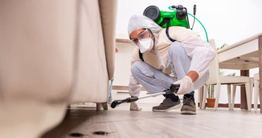 Top 10 Reliable Pest Control Companies in India (2022)