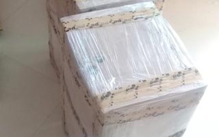 Nesle Logistics Packers And Movers Ahmedabad  Ahmedabad to Kolkata