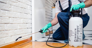 10 Pest Control Tips to Keep Your Homes Pest-Free