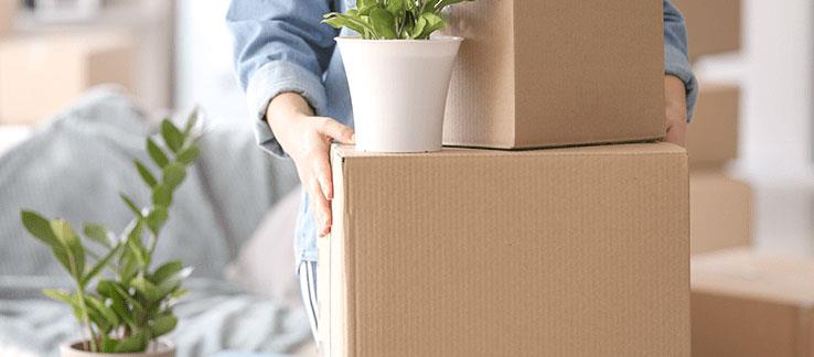 A. Connexion Packers & Movers