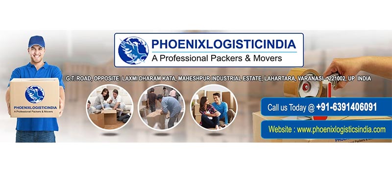 Phoenix Logistics India