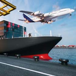 International Relocation Services in Ahmedabad