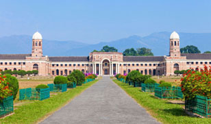 International Relocation in Dehradun