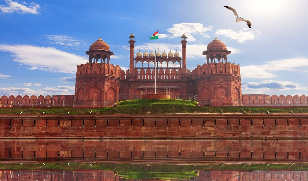 International Relocation in Delhi