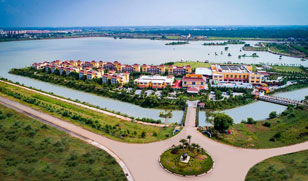 International Relocation in Raipur
