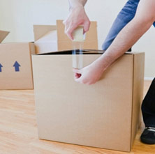 Ideal Packers And Logistics - International Relocation in Gurgaon