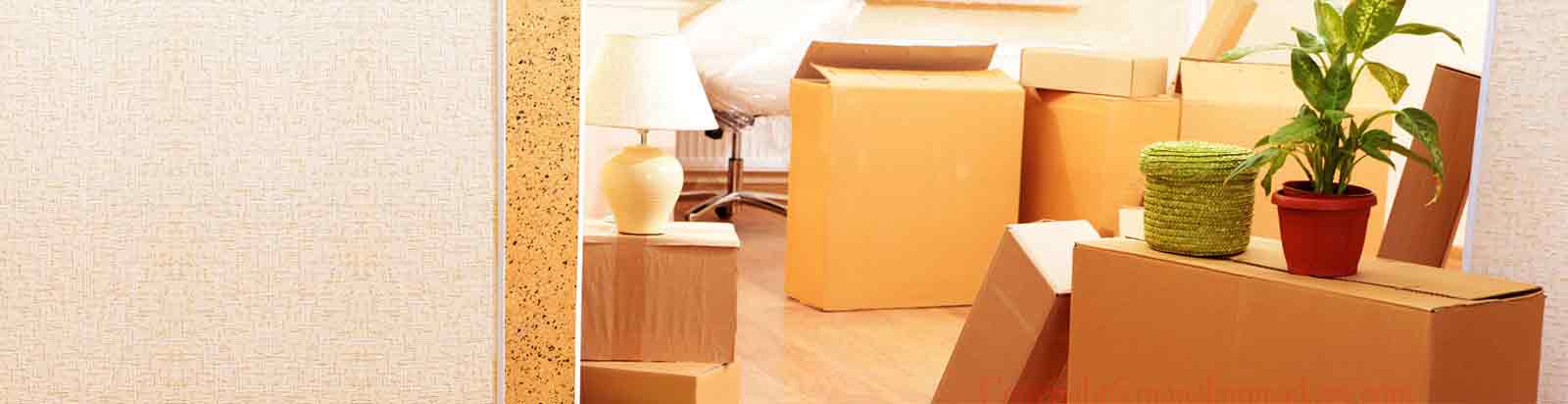 Packers And Movers Mumbai to Hyderabad