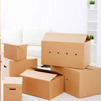 Tongia Packers and Movers Jaipur