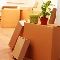 Urban Packer and Movers Jaipur
