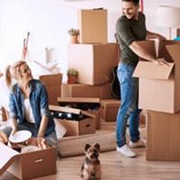 Vandana Packers and Movers Jaipur
