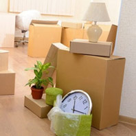Evident Packers and Movers Jaipur