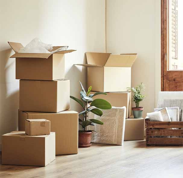 Packers and Movers Mumbai to Raipur