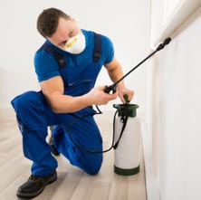 Unique Pest Control
