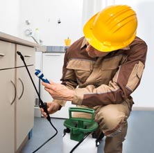 Pest Care Services