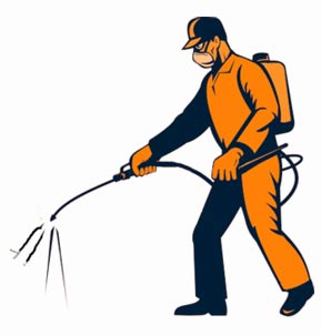 pest control help