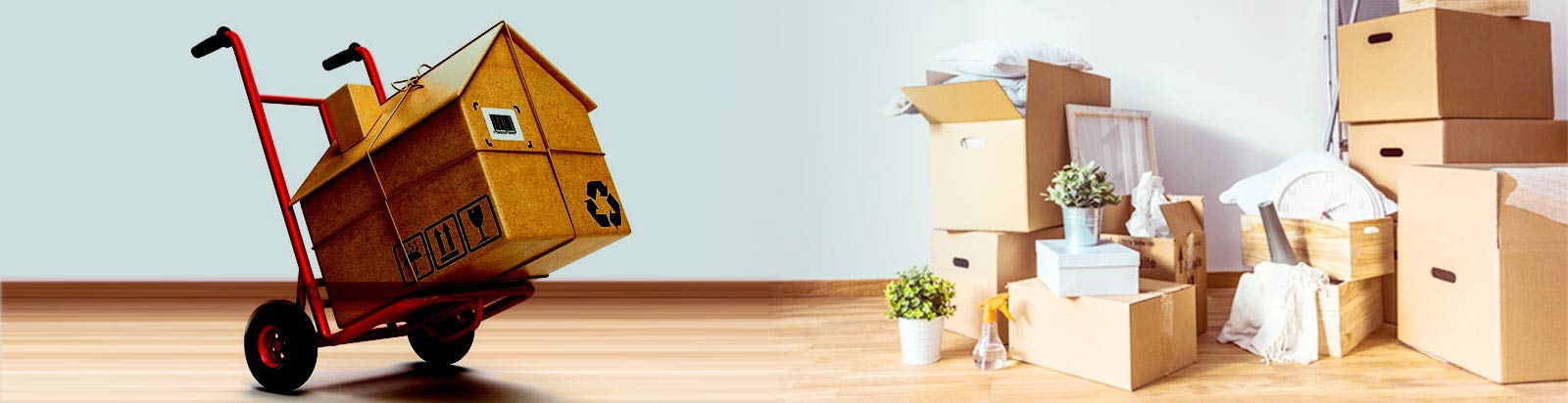 Domestic Relocation